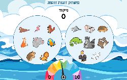 תבנית משחק דאבל זוגות זוגות פרשת נח